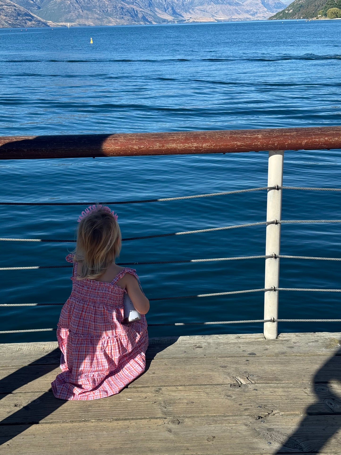 Belle Dress - Picnic check