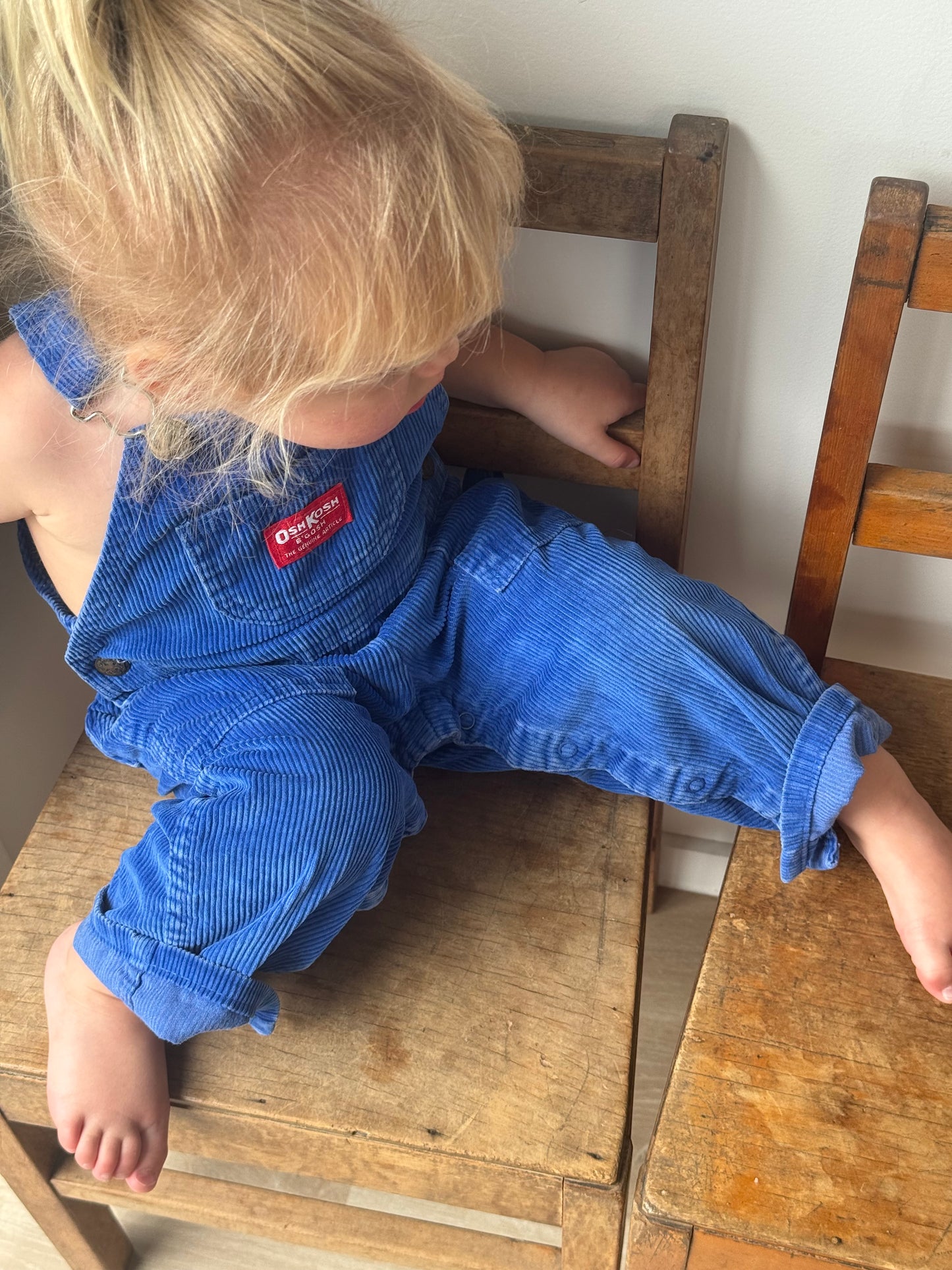 blue corduroy Oshkosh overalls - 2Y